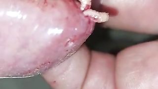 Bizarre cbt insertion bdsm pervers insect