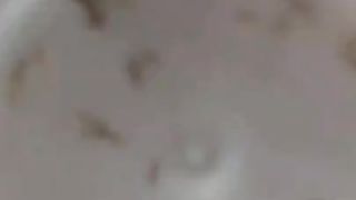 Bizarre cbt insertionbdsm pervers insect