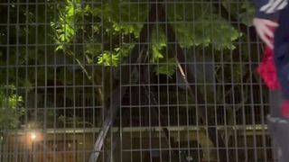 Cutie Rainy On Outdoor Public Teasing Show