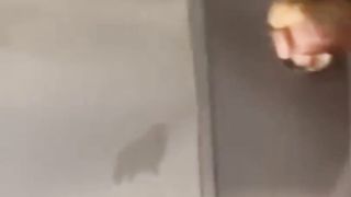 My huge cock sucked in a glory hole