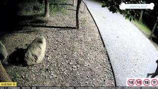 running in handcuffs 42