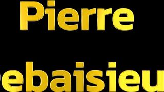 Pierre Debaisieux, Fagspose S378