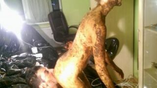 Epic Scat Session. Part 8