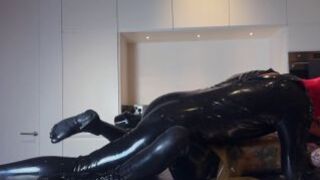 Pigbugs Latex Doll and Pig Squirting on the Countertop ft Mi