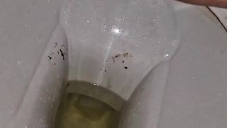 Kitty Skatt pee and poop in toilet