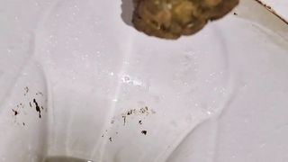 Kitty Skatt pee and poop in toilet