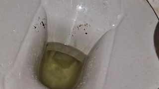 Kitty Skatt pee and poop in toilet