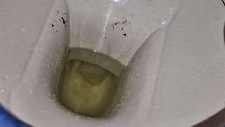 Kitty Skatt pee and poop in toilet