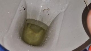 Kitty Skatt pee and poop in toilet