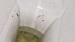 Kitty Skatt pee and poop in toilet