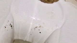 Kitty Skatt pee and poop in toilet