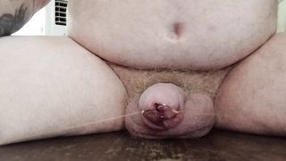 fish hooks for cock