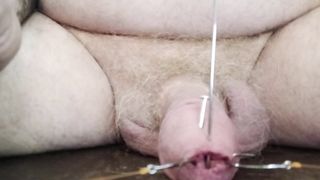 hooked nailed and skewered