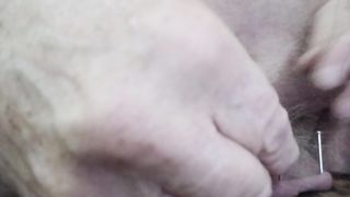 first nails for cock and sack