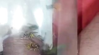 Bizarre cbt insertion bdsm pervers wasp